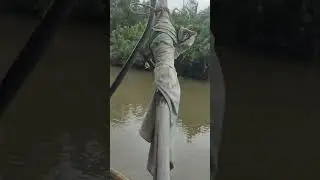 Let's catch again