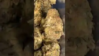 Royal Moby vs Tripoli | Curaleaf | UK Medical Cannabis Review 👀