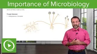 Importance of Microbes: Bacterial Diseases &ndash; Microbiology | Lecturio