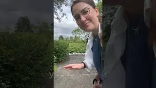 Удивительное и отвратительное в супермаркетах Малайзии #малайзия #путешествия #азия #эмиграция