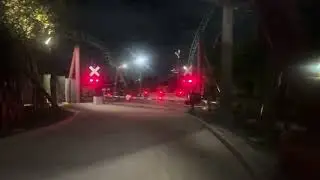 Serengeti Express Christmas Train