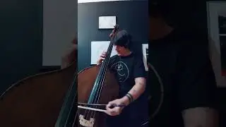 Guitar on bass#bass #classicalmusic #shorts