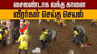 Avaniyapuram Jallikattu 2026 | சைலண்டாக வந்த காளை- வீரர்கள் செய்த செயல்! | Pongal Festival | PTD