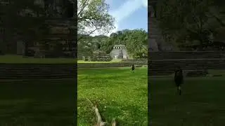 M&eacute;xico, Palenque.