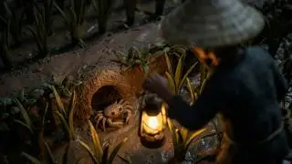 Rural Life in Old Vietnam | Catching Rice Pests, Making Pickled Eggplants | Little Field Stories