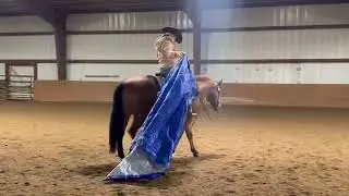 Surprise Kisses 