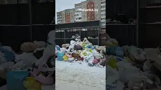 Вывоз мусора в Орше на контроле главы района