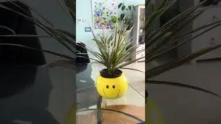 Plants always give me a smiley face. 🥰 #houseplants #plantlover #indoorgardening #indoorplants