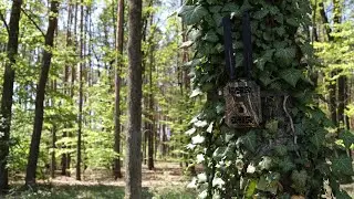 Test fotopasti B3 s bezdrátovým přenosem dat 4G