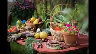 Bunte Beete / Eine andere Welt ist pflanzbar!