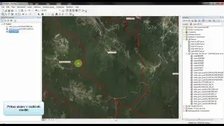 Vpis WMTS v ArcGis