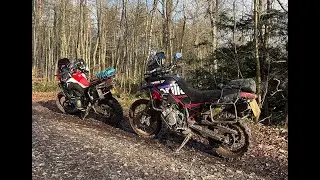 Trail Riding around Shere. Jan 2026