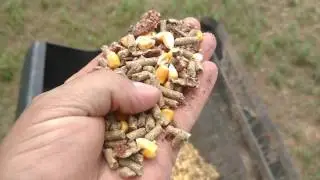 Food plot and protien mix.