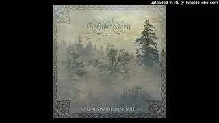 Pagan Black Metal Vali