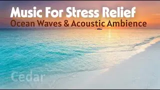 Cedar 🌿 Peaceful Acoustic Guitar & Ocean Sounds for Focus - #MelAddBeats