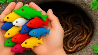 Catch Strange Freshwater Aquarium Fish in Giant Colorful Egg, Banana Fish, Betta Koi, Crabs, Turtles
