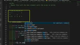 Selection Sort Implementation