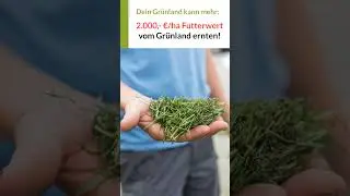 Wie Milchviehbetriebe 2.000,- &euro; Futterwert vom Gr&uuml;nland ernten! #gr&uuml;nland verbessern #landwirtschaft
