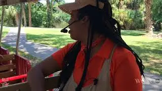 Historical musical train ride at City Park