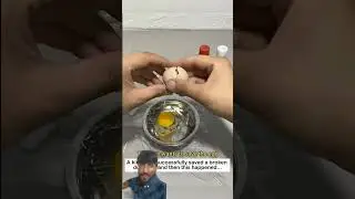 nice duck female my God egg🦢🦢🦢🐣🦆🦆🦆🐣🐣🐣😱😱🥰💯💯💯💯💯💯💯