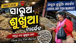 Odisha's BEST Dry Fish Market: Sarua Sukhua Bazar Secrets Revealed!
