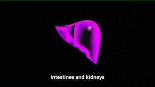 Calcium d-glucarate
