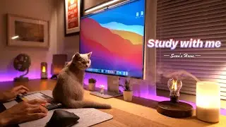 4-Hour Study with Me and My Cat | Pomodoro Timer, Lofi Relaxing Music | Day 51