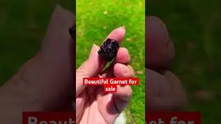Garnets #crystal
