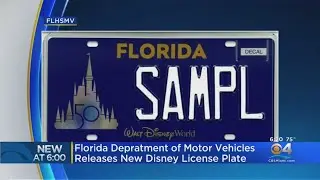 Florida Department Of Motor Vehicles Release New Disney License Plate