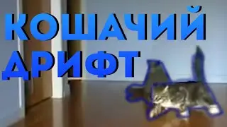 Котэ Дрифт | Cat's Drift