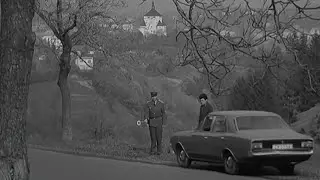Verní ideám socializmu (1972)