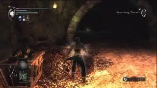 Demon's Souls - World 2 Sidetrip: Black Phantom Scrivir