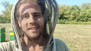 Wie sind unsere Pläne mit den Bienen & wie wintern wir ein!