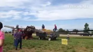 #Longmont's Yesteryear Farm Show kicks off with a threshing demo. Events continue thro Sunday at the