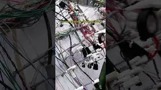 This wiring harness factory looks crazy