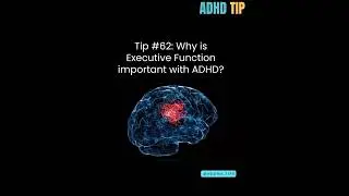 Tip #62 Executive Function and #adhd