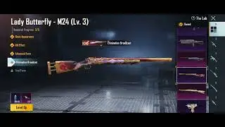 lady butterfly M24 max #pubg#shorts