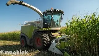 Kiszonka z kukurydzy Nowy Claas Jaguar 840, Claas Ares 826, John Deere 6630