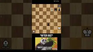 The Most Brilliant Chess Moves Ever Created #chess