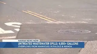 Heavy rains surge thousands of gallons of wastewater into residential areas