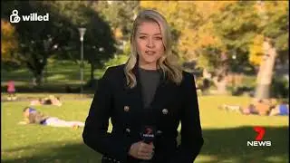 Willed featured on Channel 7