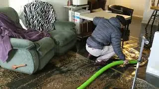 Standing Water, Serious Trouble 💧🚨 Carpet Care Cleaners to the Rescue