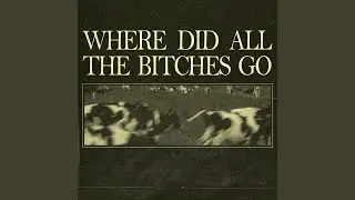 WHERE DID ALL THE BITCHES GO