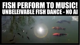 NEUROSCIENCE FISH ROCK-OUT TO RACHMANINOV & MIRROR THE MUSIC UNSETTLINGLY! NEUROPLASTICITY INCOMING!