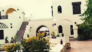 السيليين