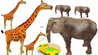 Animal Cargo Truck Driving Simulator 3D Animal Transport Gameplay Funny video 