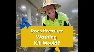 Does Pressure Washing Kill Mould? High Pressure Cleaning Gold Coast