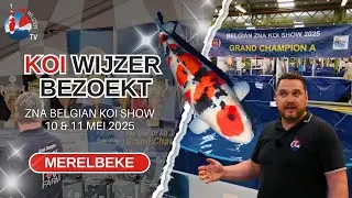 Op bezoek bij de Belgian Koi Show: fantastische Grand Champion, Makkes doet het weer!