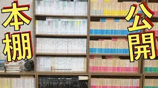 【本棚】今まで隠されていた新書の本棚を紹介します！岩波新書、中公新書、光文社新書、集英社新書、岩波ジュニア新書など！【純文学・オススメ小説紹介】