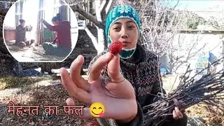 Winter Season 🍂🥶 ( मेहनत का फल ) #winter #labrang 